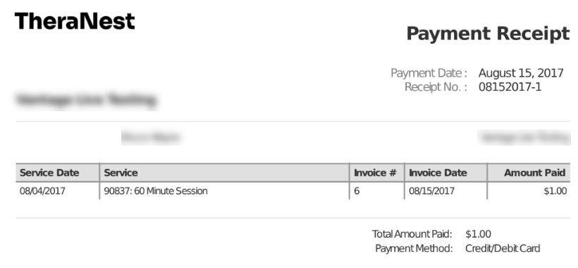 theranest_payment_receipt.png