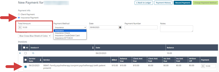 theranest payment amount record payment.png